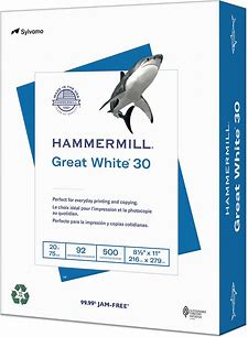 2 pack of copy paper (500 sheets)