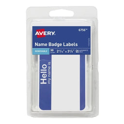 Removable Name Badge